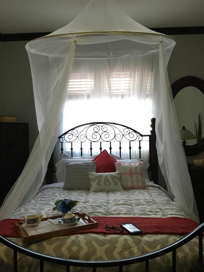 Heavenly Suite In Little Havana Free Parking Miami Exteriér fotografie