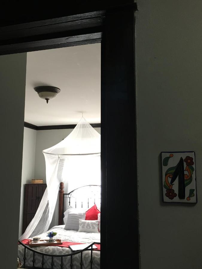 Heavenly Suite In Little Havana Free Parking Miami Exteriér fotografie